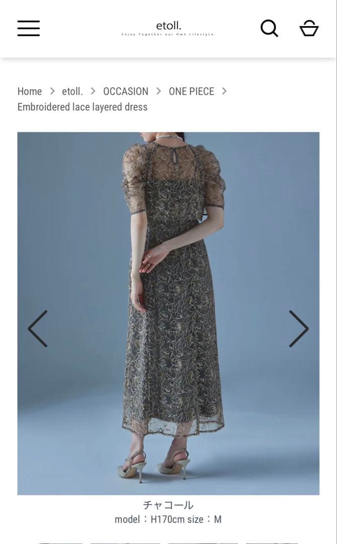 スーツ・フォーマル・ドレス etoll. Embroidered lace layered dress