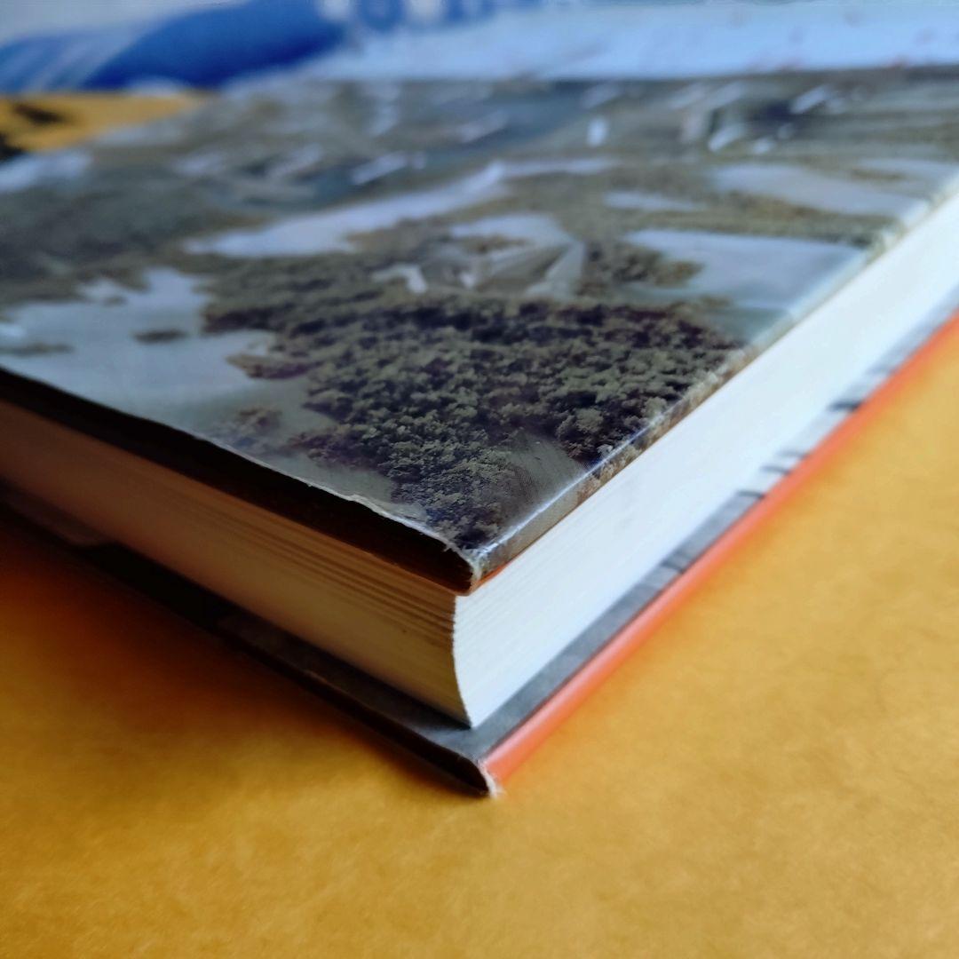 アート・デザイン・音楽 Frank Lloyd Wright and The Living City