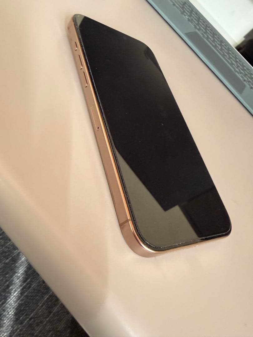 iPhone 16 Pro Max 1TB 美