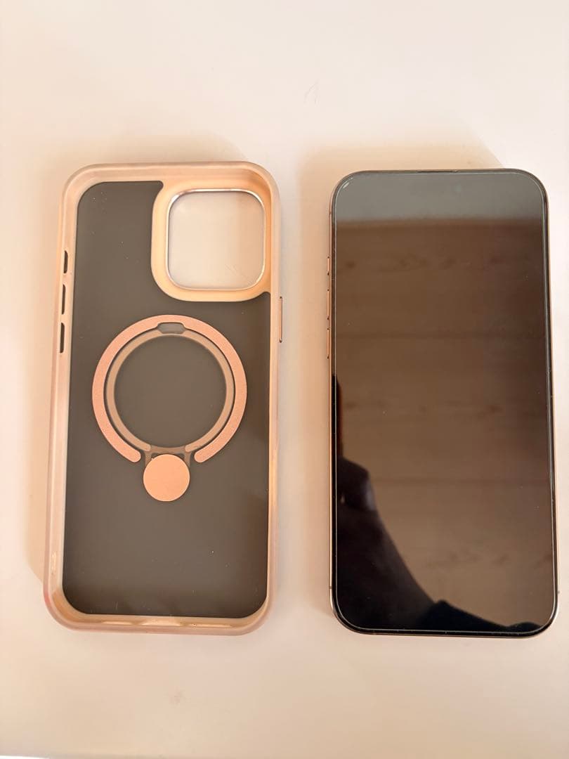 iPhone 16 Pro Max 1TB 美