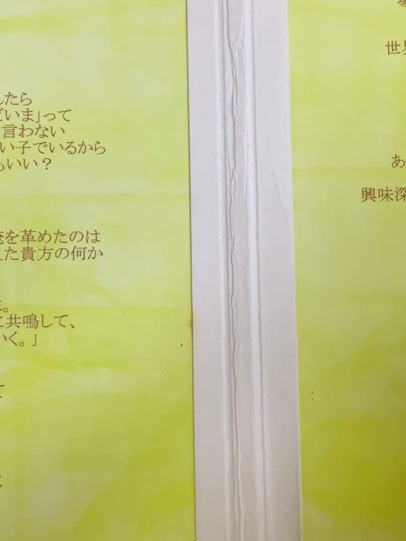 ベンジー　緑黄色社会　ラストプレゼント　サイン入り