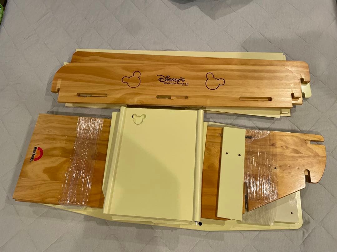 Disney's World of English DVDセット