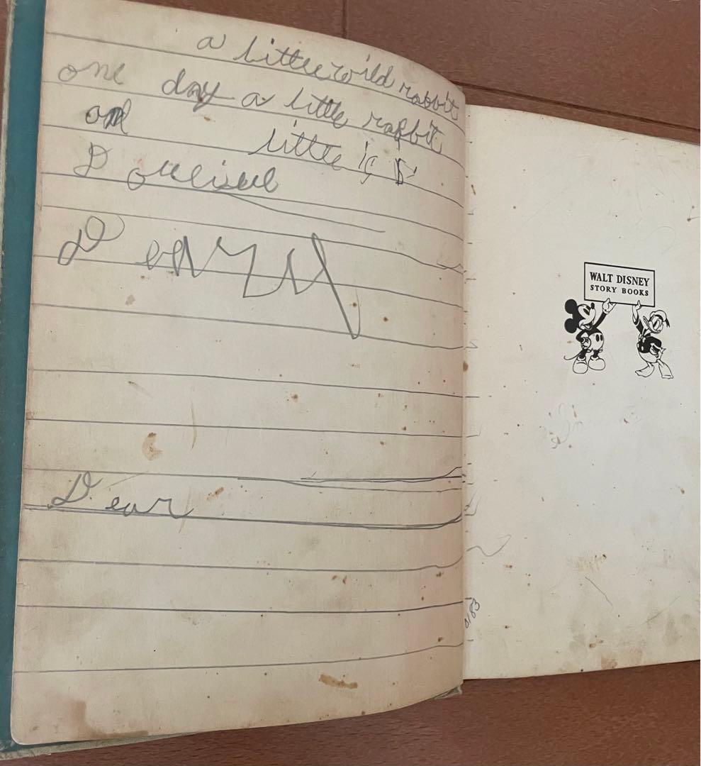 USヴィンテージ洋書　DONALD DUCK and HIS FRIENDS