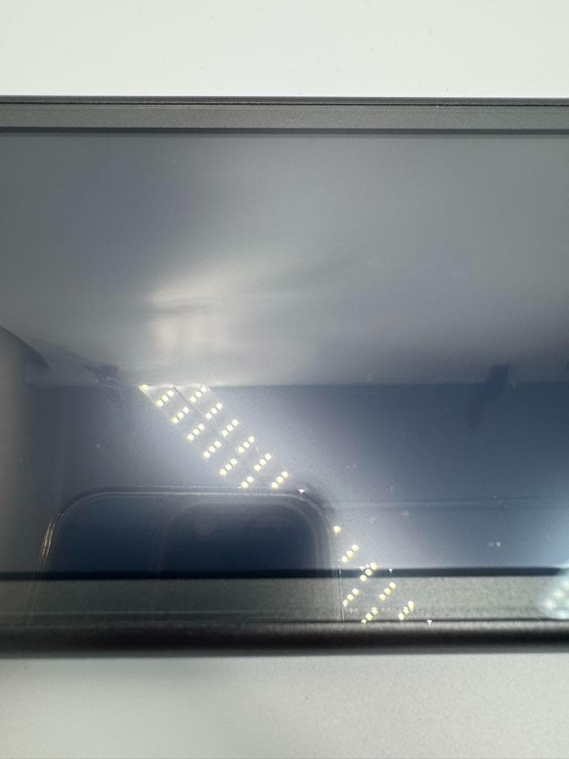 【極美品】完品 ニンテンドースイッチライト ディアルガ・パルキア 本体