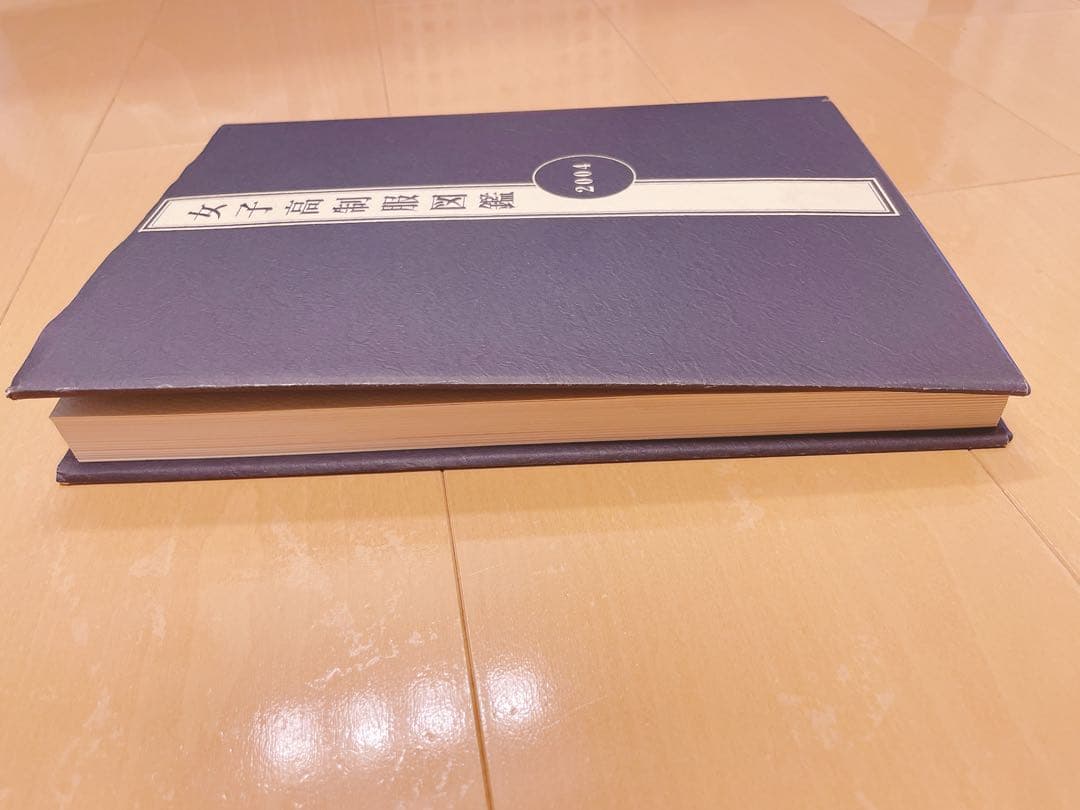 女子高制服図鑑 2004