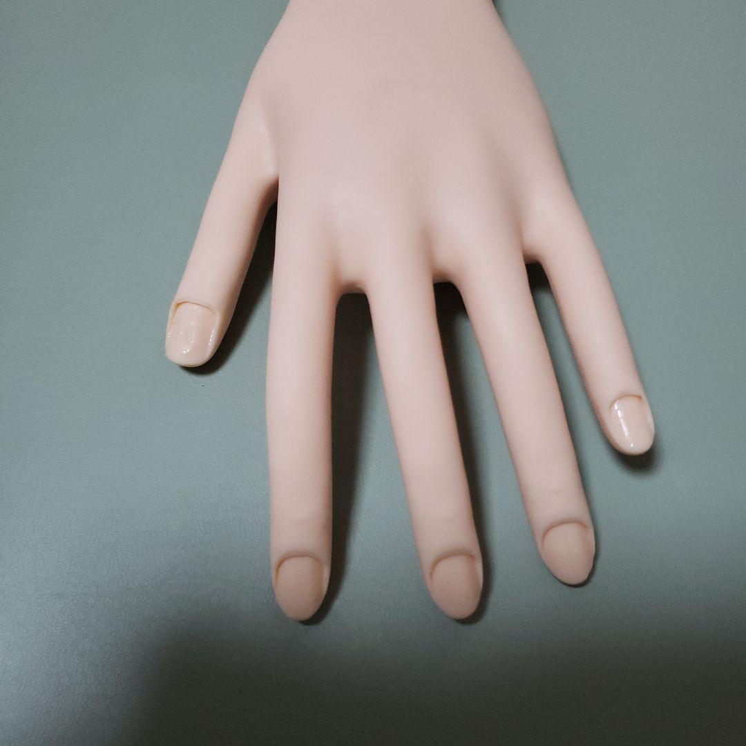 ②JNEC認定モデルハンド 両手 ネイリスト