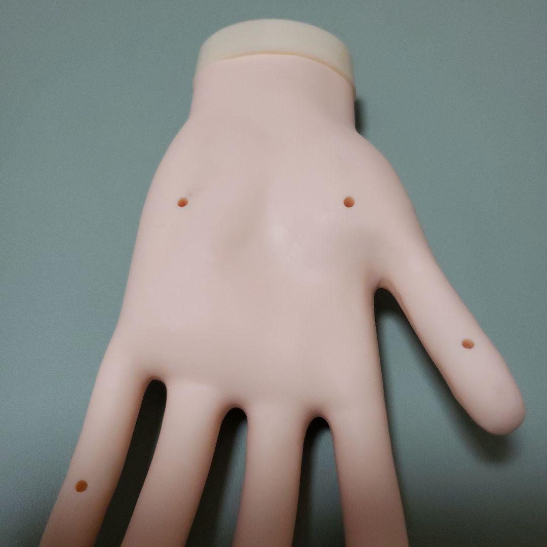 ②JNEC認定モデルハンド 両手 ネイリスト