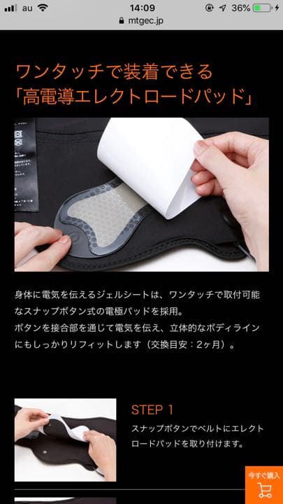 ウエイトトレーニング sixpad bottom belt