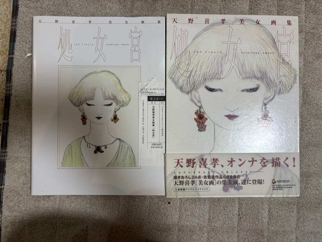 処女宮 : 天野喜孝美女画集