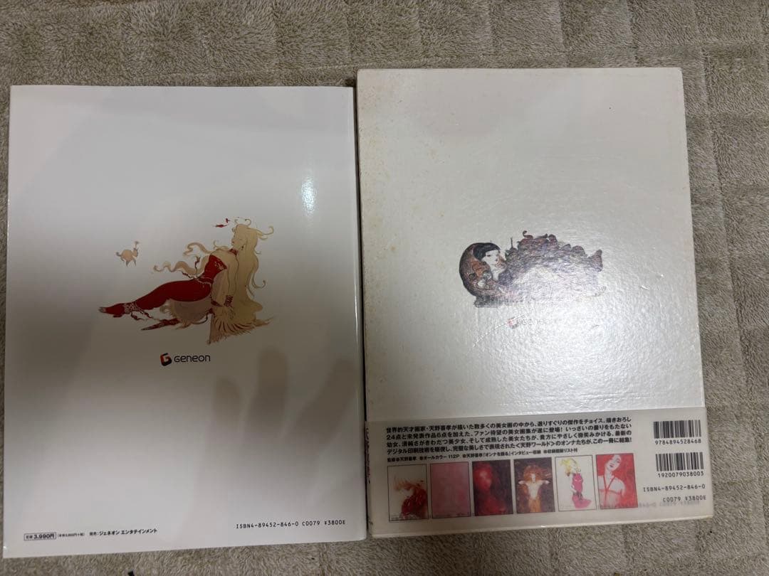 処女宮 : 天野喜孝美女画集