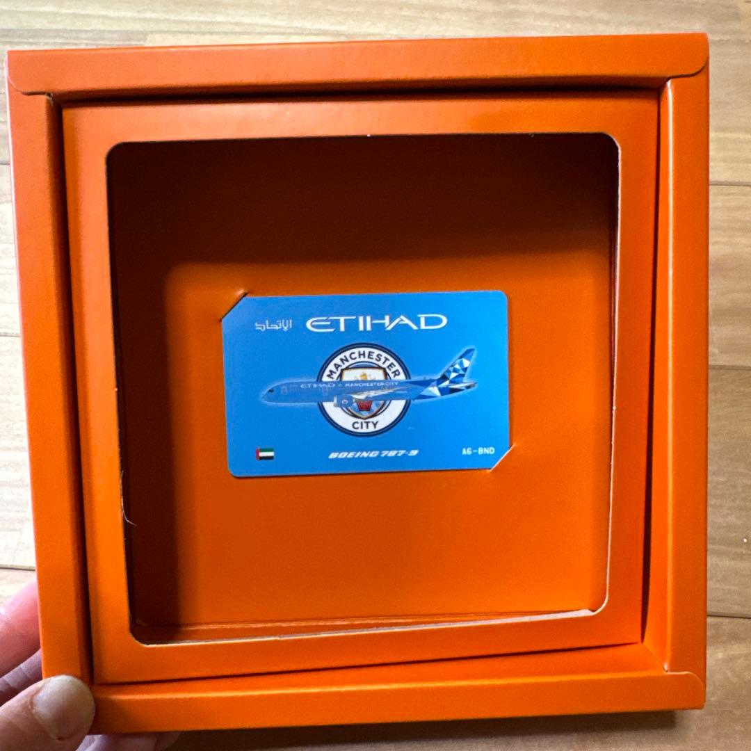 メ*3様 ETIHAD Boeing 787-9 Manchester City