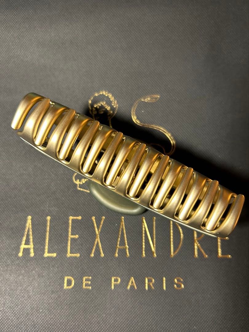 新品　アレクサンドルドゥパリ ヴァンドームクリップ 10.5㎝ Lサイズ