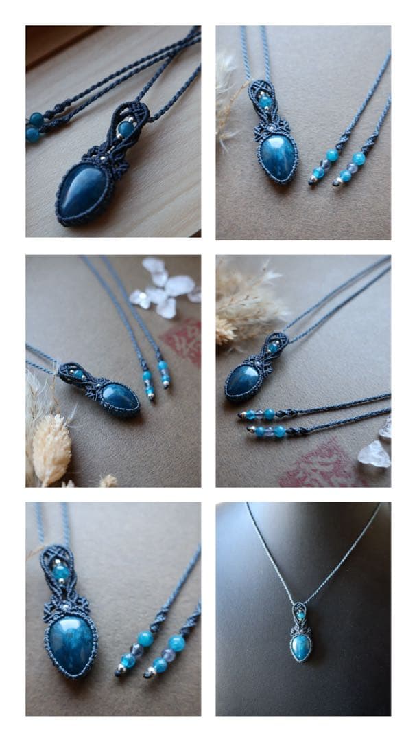 でんちゃん 1/25