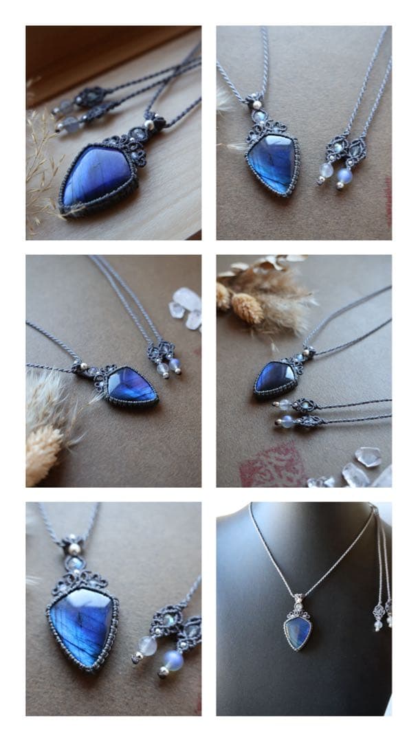 でんちゃん 1/25