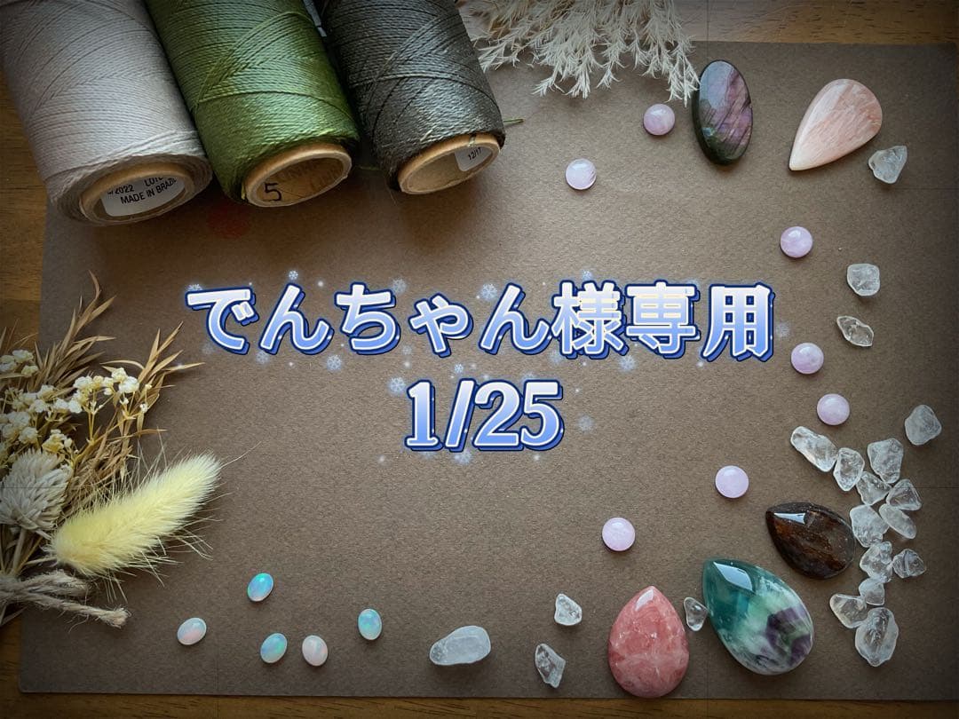 でんちゃん 1/25