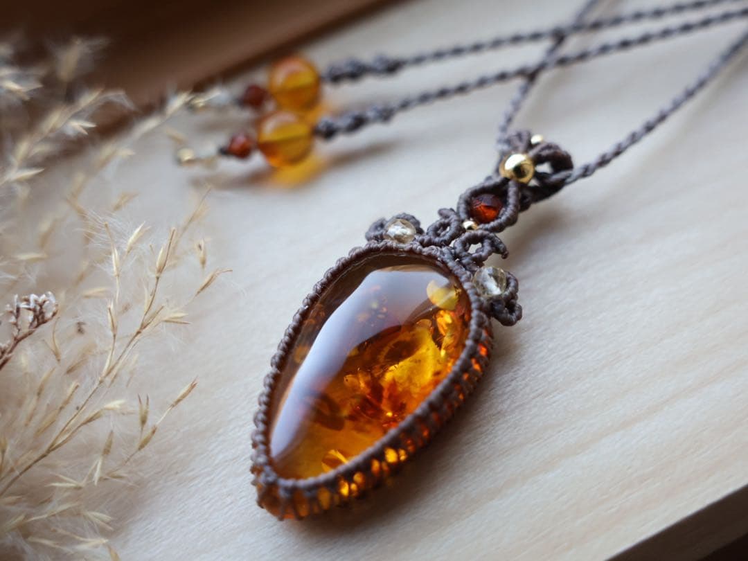 でんちゃん 1/25