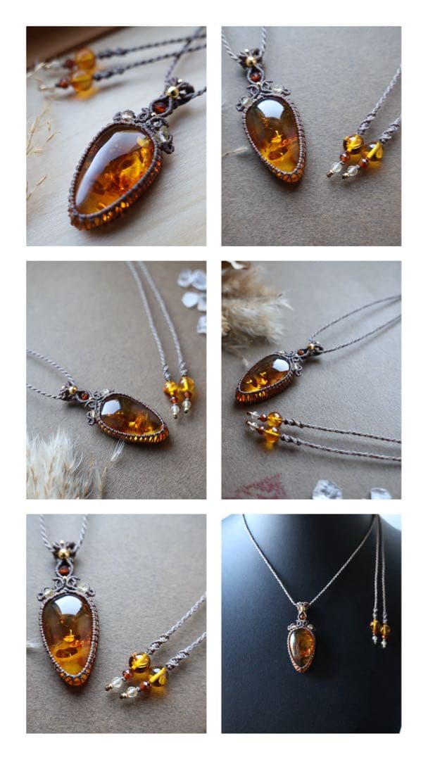 でんちゃん 1/25