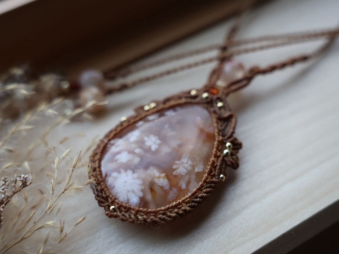 でんちゃん 1/25