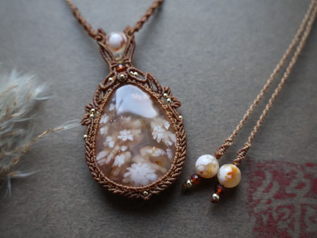 でんちゃん 1/25