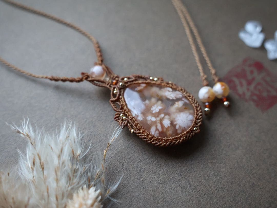 でんちゃん 1/25