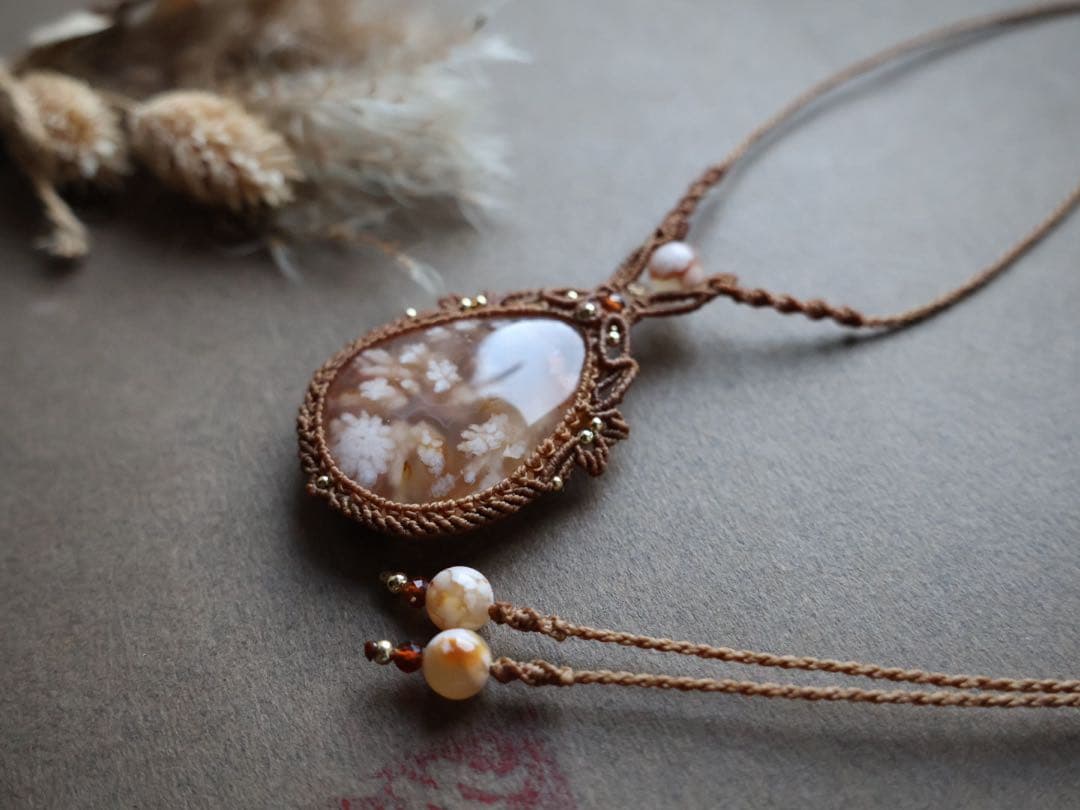 でんちゃん 1/25