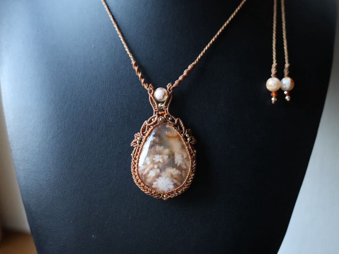 でんちゃん 1/25