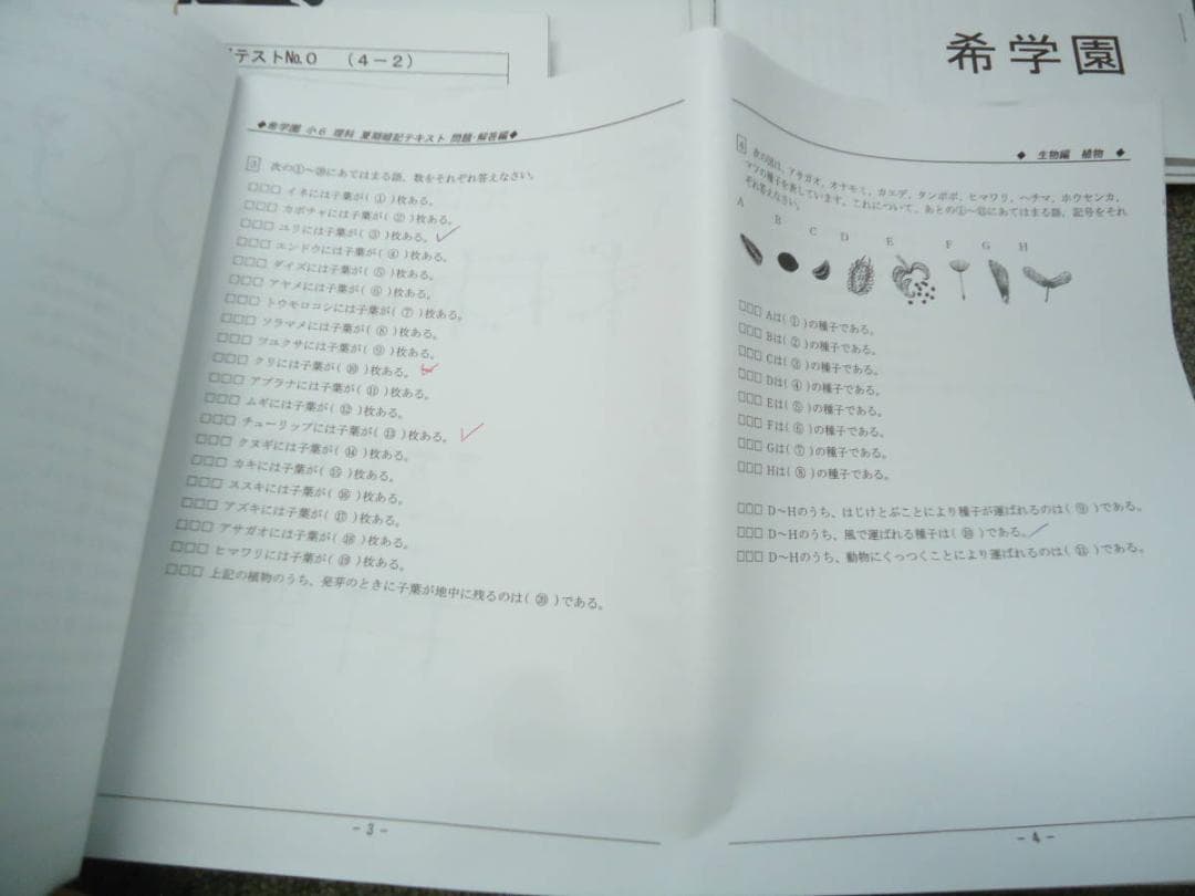 希学園　小6灘コース　春期講習/夏期演習特訓　国算理　　2019年度使用版