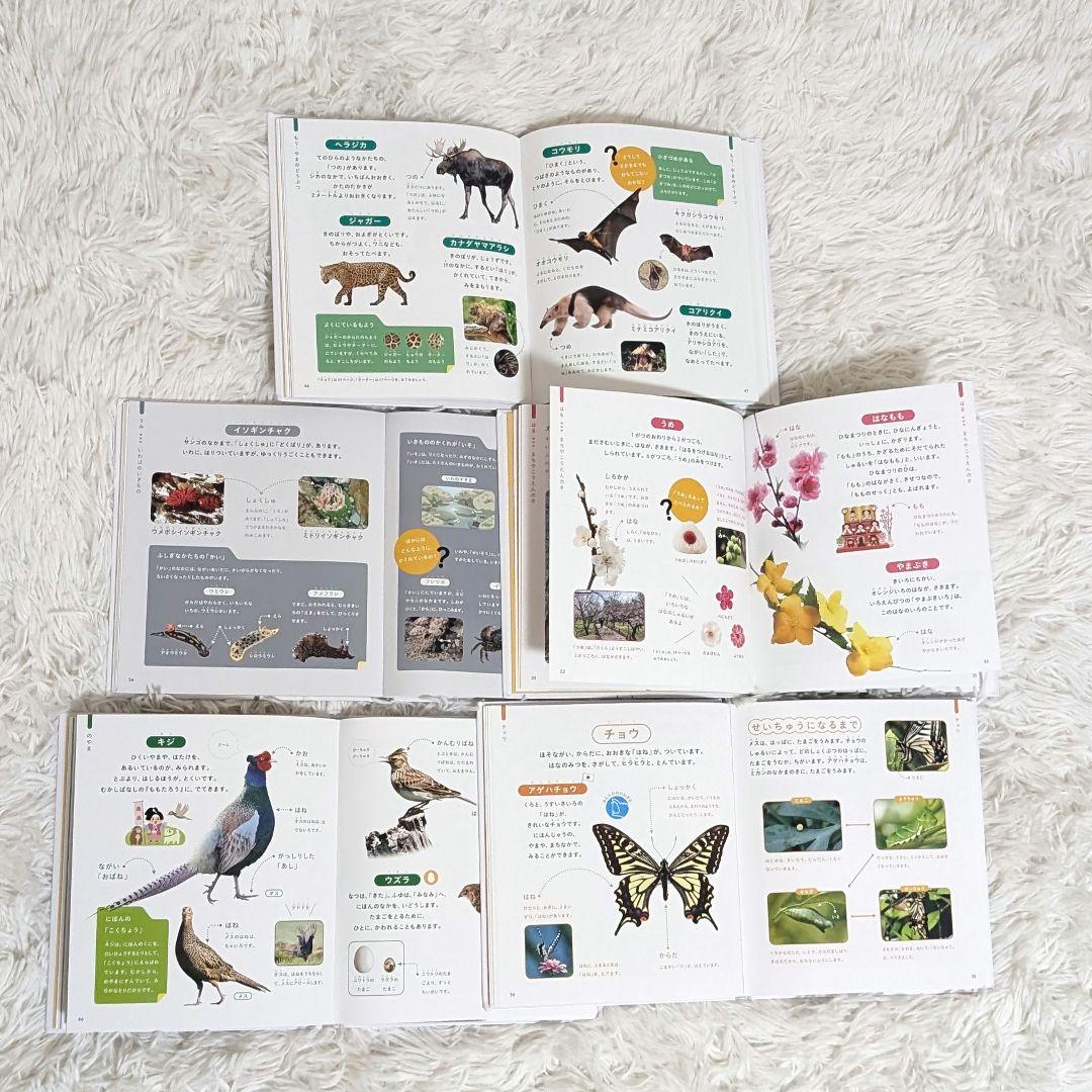 【しんばさま専用】　じぶんでよめる ずかん / プレNEO /NEO 11冊