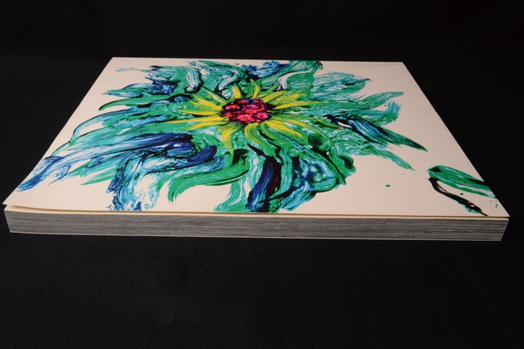 【流石 / RYU U SE KI - HYSTERIC No.10】荒木経惟