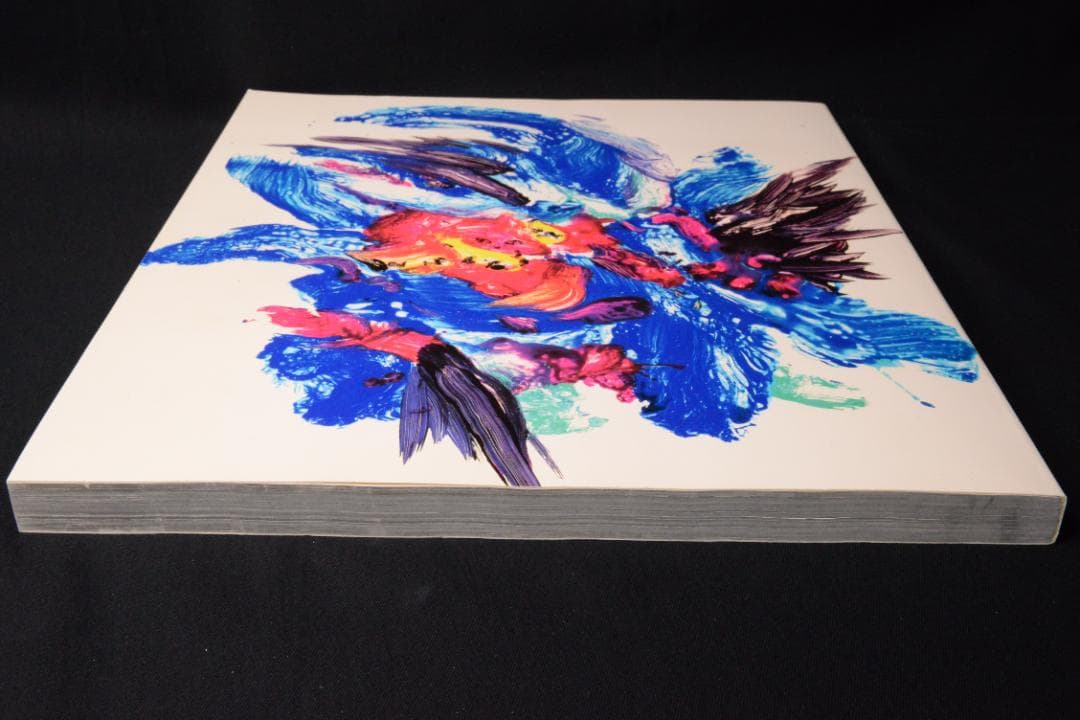 【流石 / RYU U SE KI - HYSTERIC No.10】荒木経惟