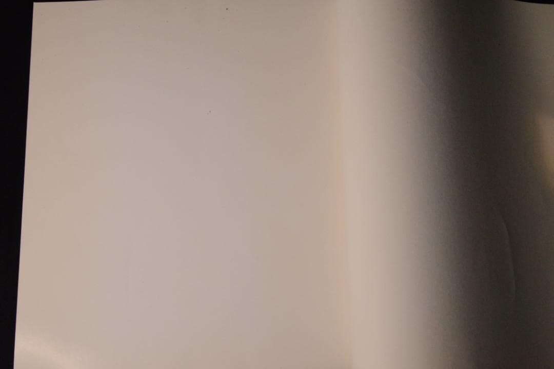 【流石 / RYU U SE KI - HYSTERIC No.10】荒木経惟