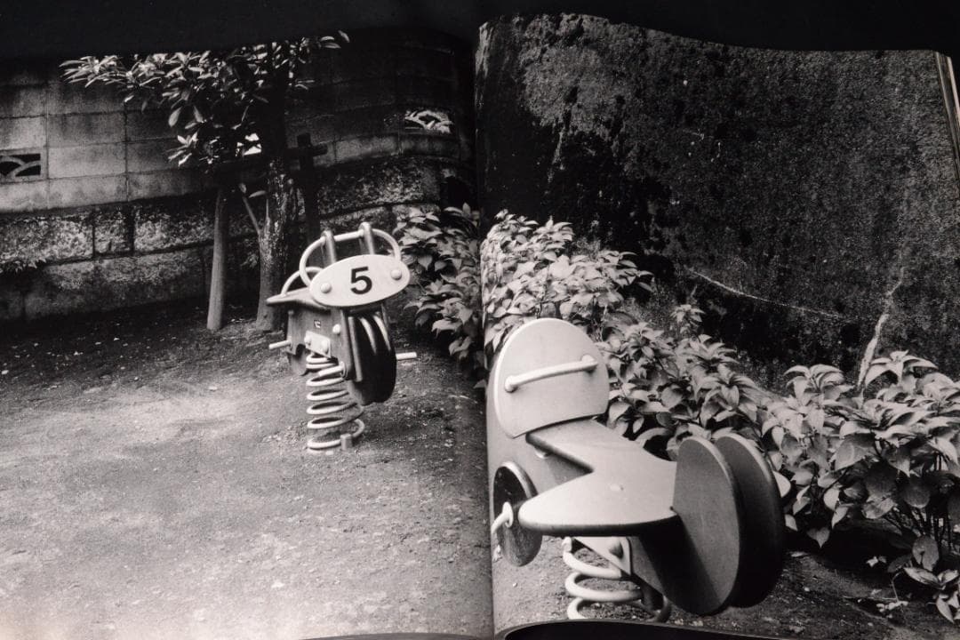 【流石 / RYU U SE KI - HYSTERIC No.10】荒木経惟