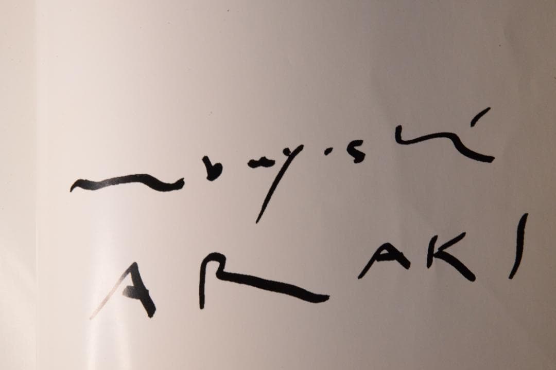 【流石 / RYU U SE KI - HYSTERIC No.10】荒木経惟