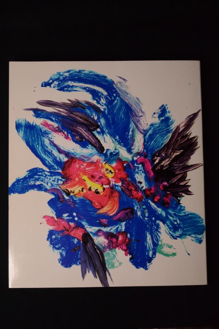 【流石 / RYU U SE KI - HYSTERIC No.10】荒木経惟