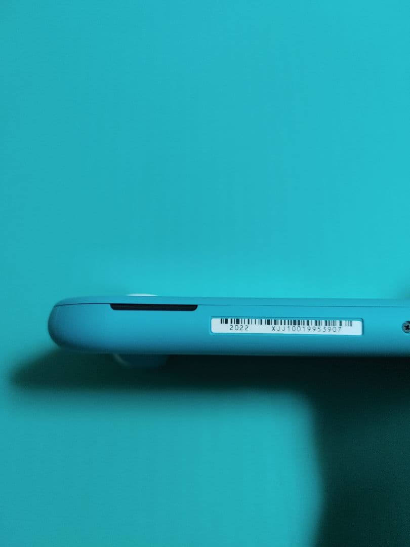 ニンテンドースイッチライト　ターコイズ　充電器　箱付属