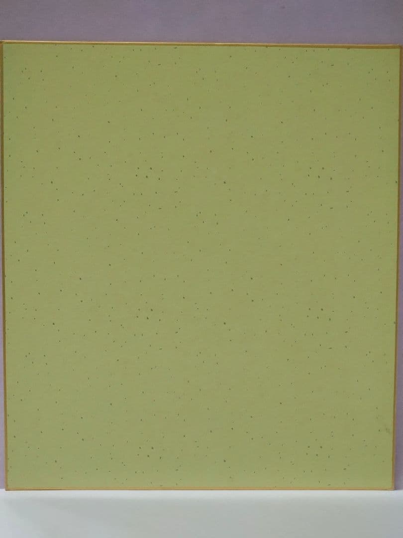 比嘉愛未 直筆サイン色紙 & anan No.2448 増刊号