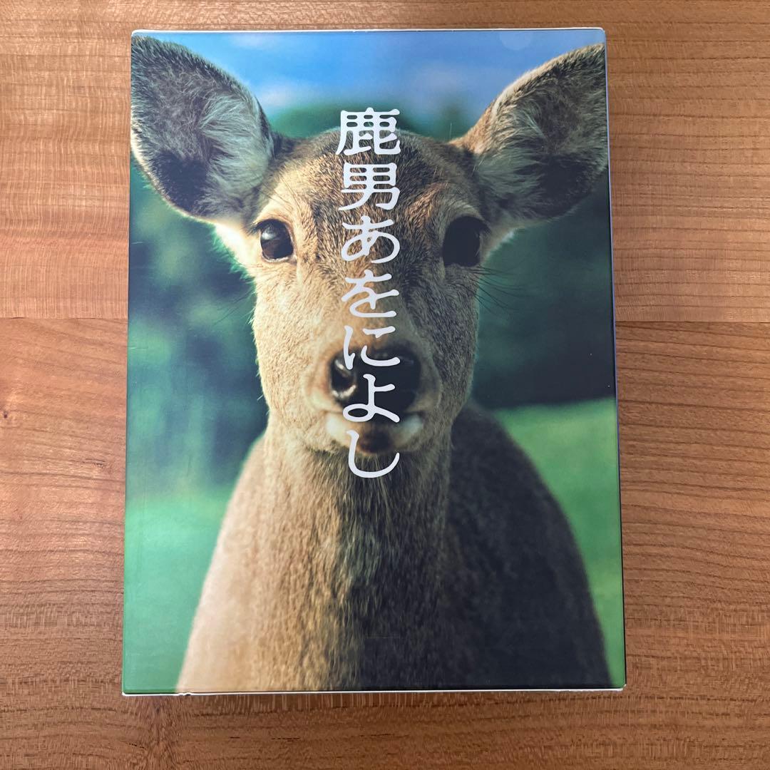 鹿男あをによし DVD-BOX ディレクターズカット完全版〈6枚組〉