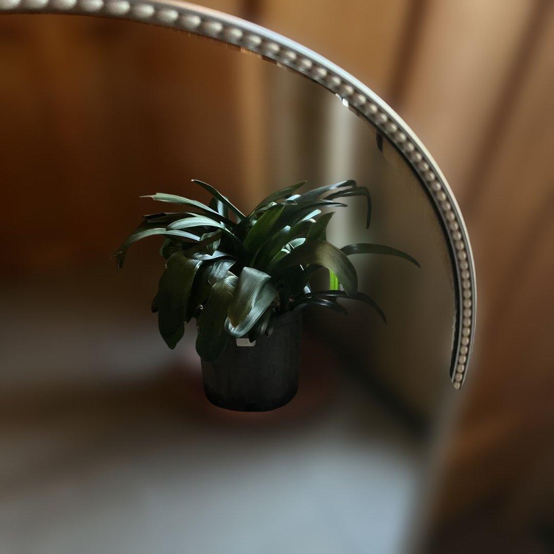 アンティーク　ヴィンテージ　アーチ型ビーズ装飾壁掛け鏡