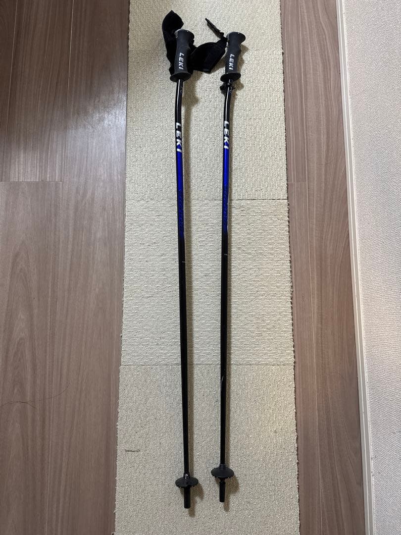 SALOMON サロモン　DEMO8 3V PILOT 170cm ストック付き