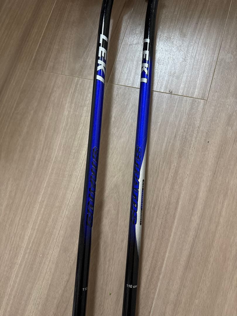 SALOMON サロモン　DEMO8 3V PILOT 170cm ストック付き