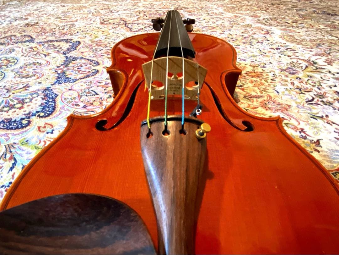 お値下げ中⭐︎ピグマリウス デリウス アドバンス 4/4