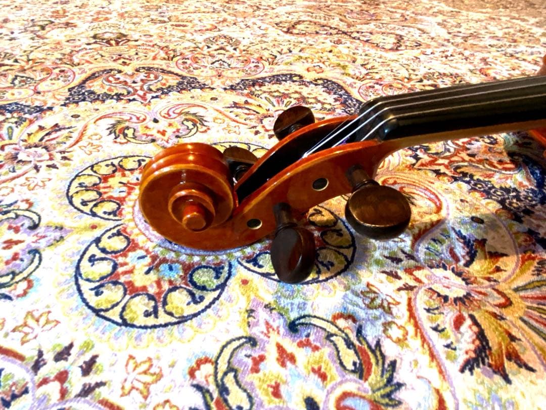 お値下げ中⭐︎ピグマリウス デリウス アドバンス 4/4