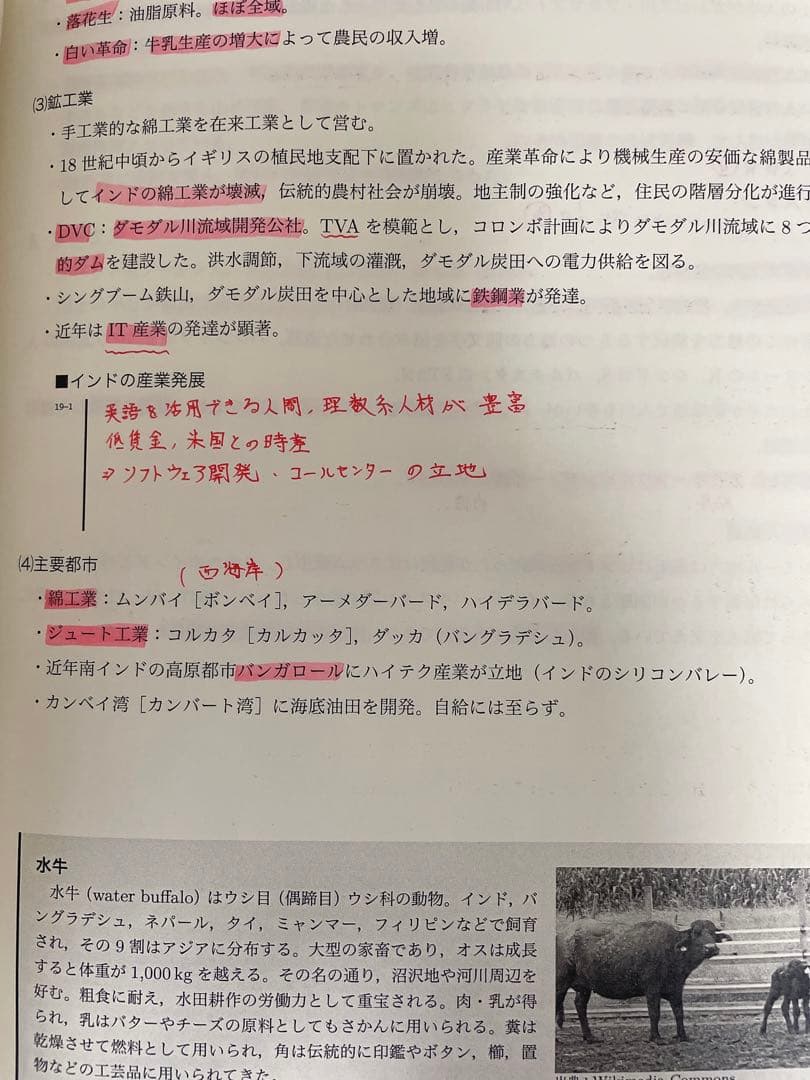 鉄緑会　高3地理教材　地理総覧