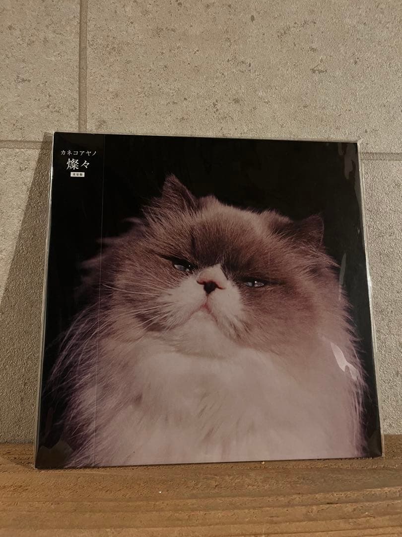 カネコアヤノ レコード5タイトル