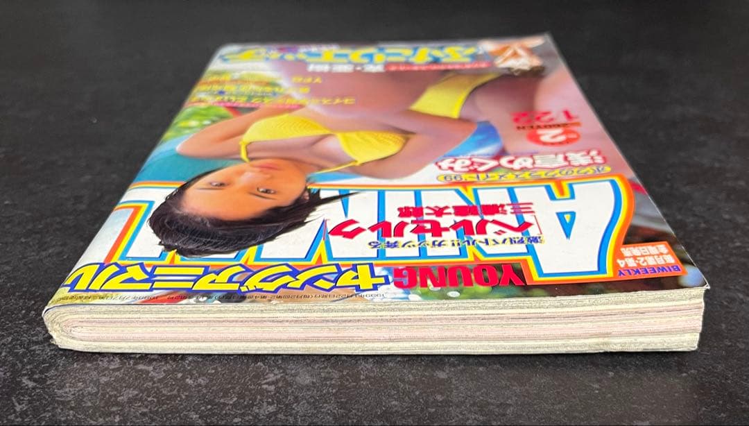 ●ヤングアニマル 1999年 No.2 ●ベルセルク 第134話 三浦建太郎