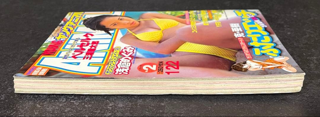 ●ヤングアニマル 1999年 No.2 ●ベルセルク 第134話 三浦建太郎