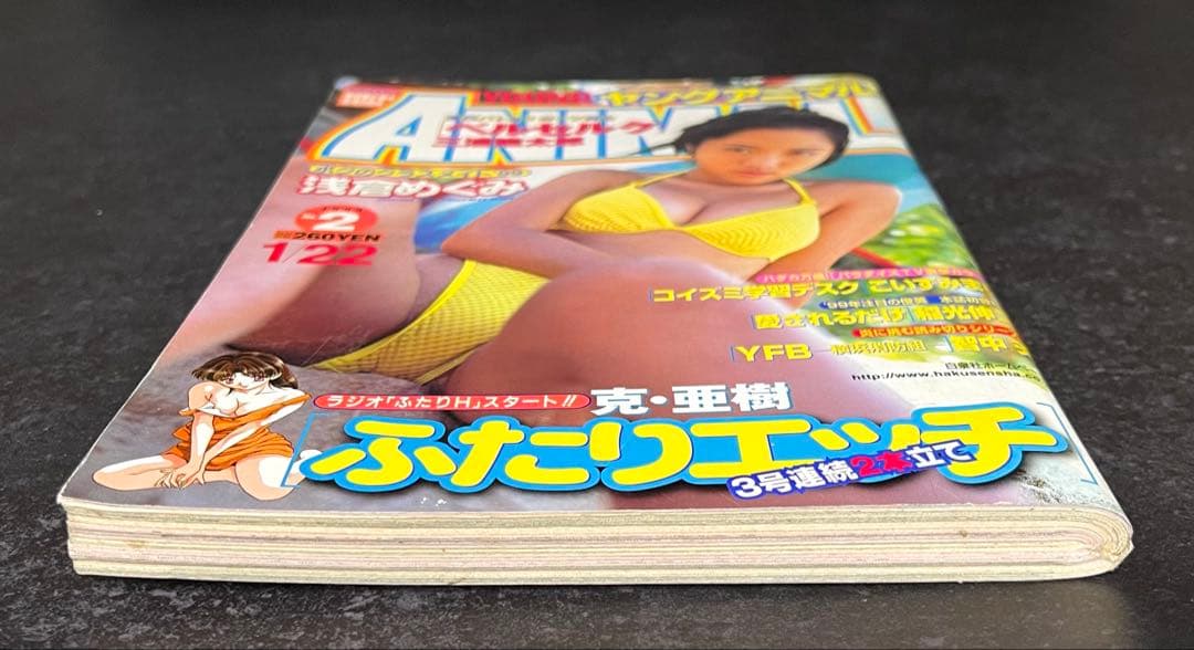 ●ヤングアニマル 1999年 No.2 ●ベルセルク 第134話 三浦建太郎