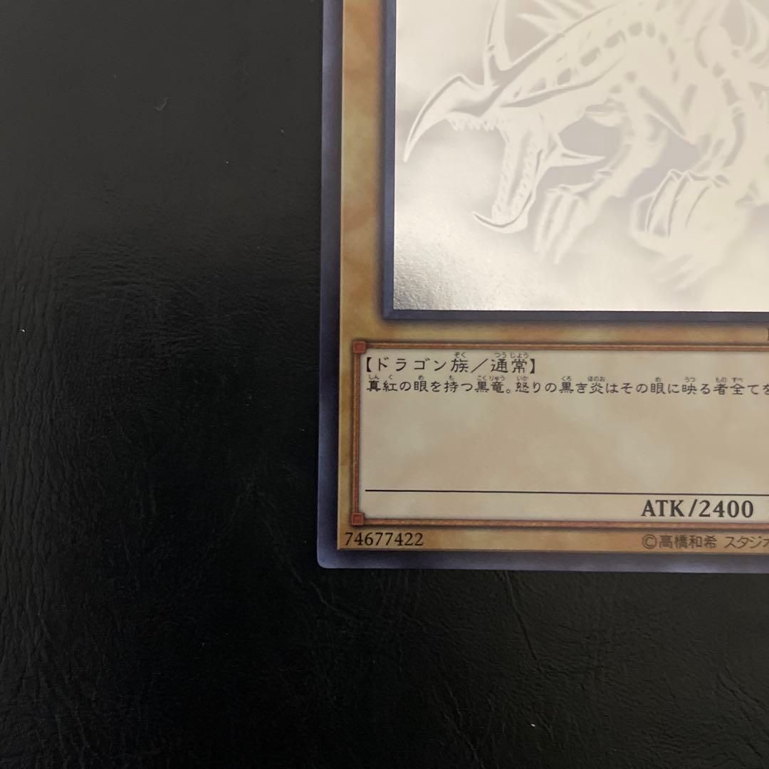 真紅眼の黒竜　ホロ