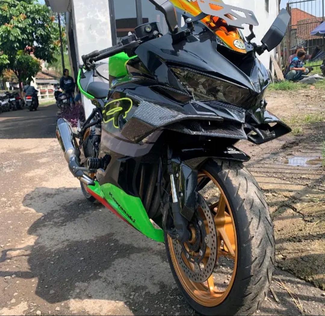 ZX25R/ZX4RR サイドウイングレット(tubaki)