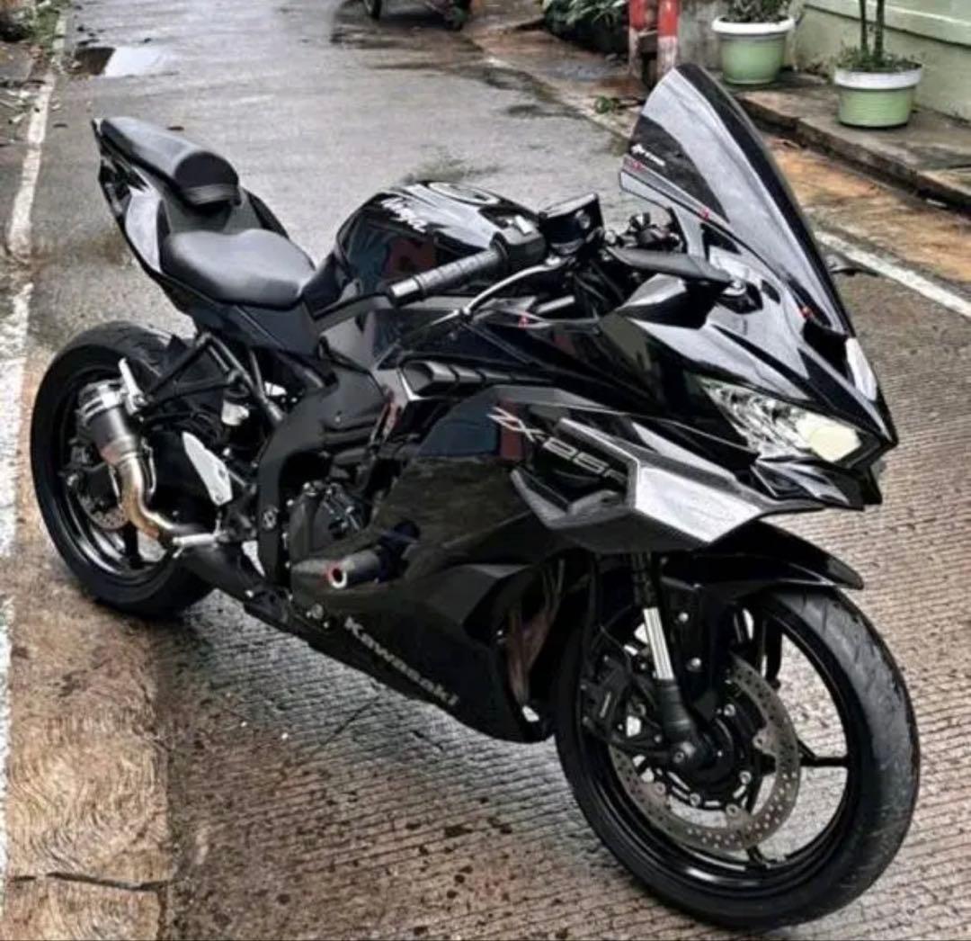 ZX25R/ZX4RR サイドウイングレット(tubaki)